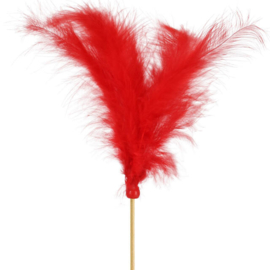 veer op steker | rood