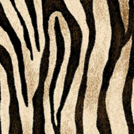 siser easypatterns | wild zebra