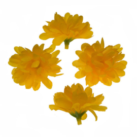 chrysant donker geel