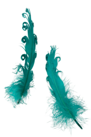 krul veer | teal