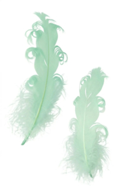 krul veer | mintgroen