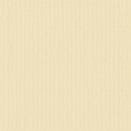 florence cardstock texture | raffia