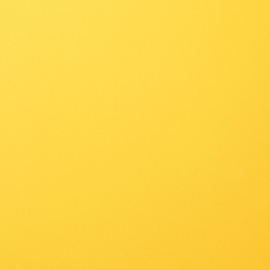 florence cardstock smooth | lemon yellow