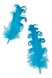 krul veer | licht blauw