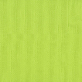 florence cardstock texture | lime