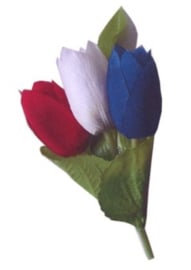 broche tulp rood/wit blauw