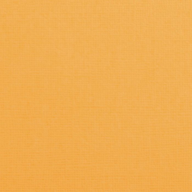 florence cardstock texture | grapefruit