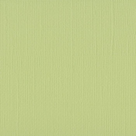 florence cardstock texture | anise