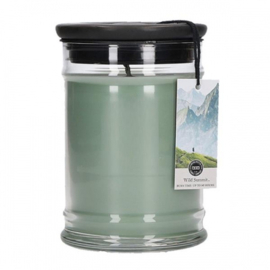 bridgewater candle jar S | wild summit
