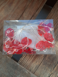 ledverlichting met roosjes