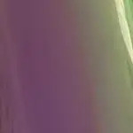 chameleon flex purple / green