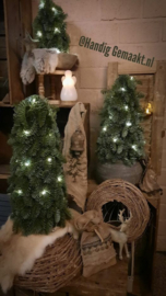 kerstbomen
