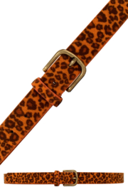 Riem panter oranje