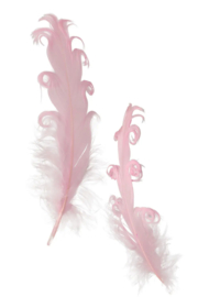 krul veer | babyroze