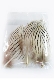 veren met zebraprint