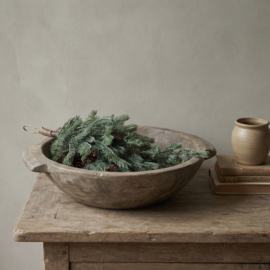 toef Abies procera 50cm