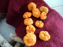 putkha pods | oranje