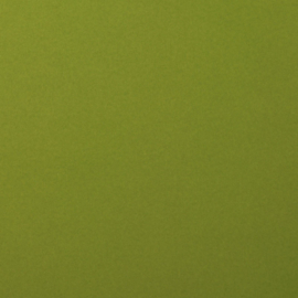 florence cardstock smooth | olive