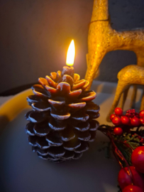 ledkaars dennenappel met timer