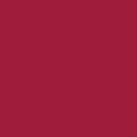 Siser PS Film - EasyWeed | burgundy