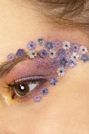 PXP geperste dikke bloemen violet mix crème 10 ml