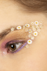 PXP geperste dikke bloemen madeliefjes mix crème 10 ml