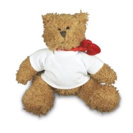 teddybeer met t-shirt