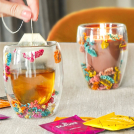 SOJAKAARS - FRIENDS & FLOWERS COLOR THE WORLD