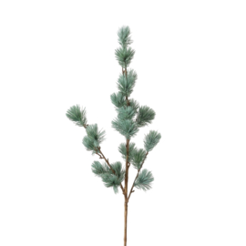 larix tak Real touch
