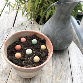 zaadbommetjes vrolijke bloemen