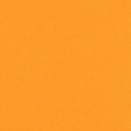 florence cardstock texture | mango