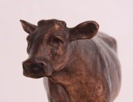 Bronzen beeld - Fleckvieh koe