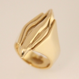 Ring - collectie In between