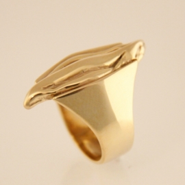 Ring - collectie In between