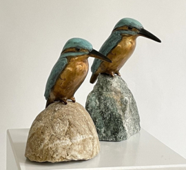 Rustende ijsvogel op steen