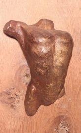 Mannentorso - bronzen reliëf op eikenhout