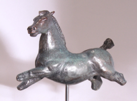 Paardentorso Equus