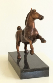 Paardenpassie - bronzen paardenbeeld