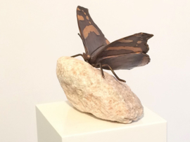 Vlinder (Atalantavlinder) - bronzen beeld