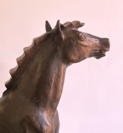 'Les Heureux'  bronzen beeld paardentorso