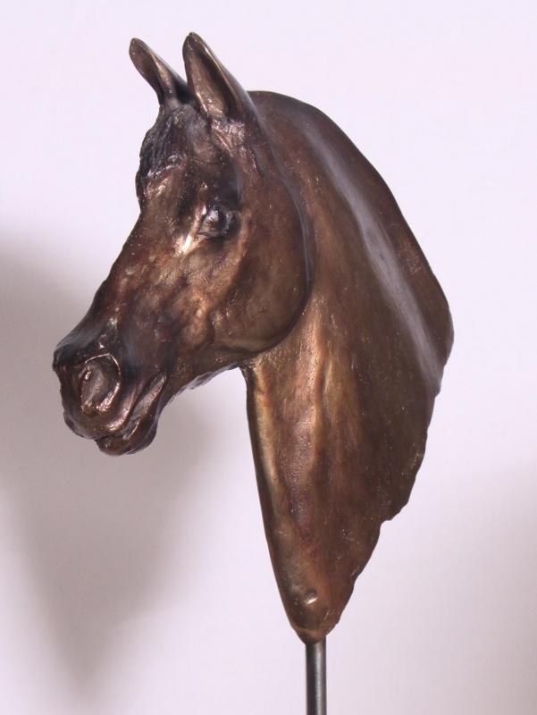 Paardenhoofd - bronsreliëf