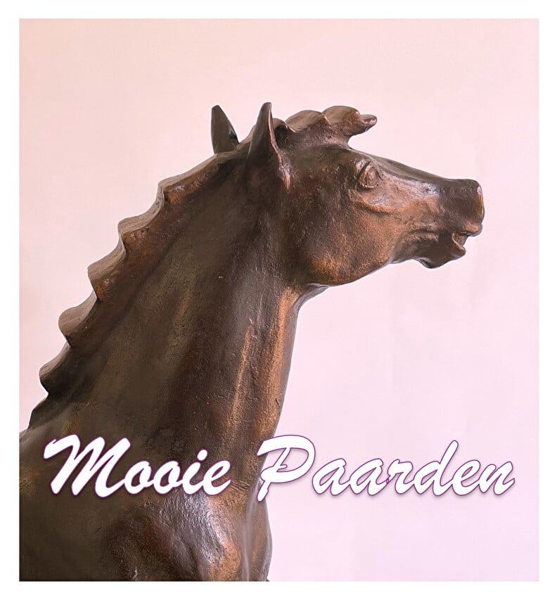Paardenbeelden - bronzen kunst