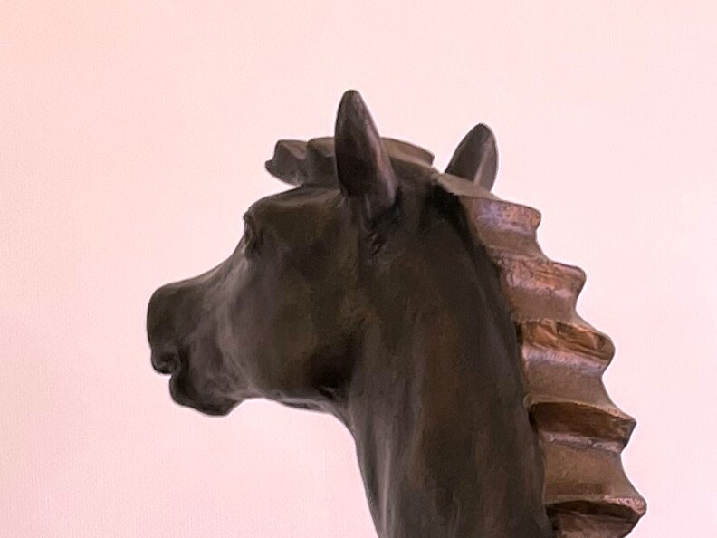 Paardenhoofd detail bronzen beeld