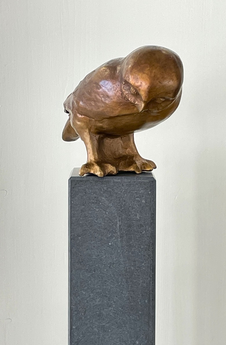 Bronzen beeld uil wijsheid
