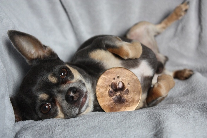 Pootafdruk in brons - cadeau voor hondje Ralph