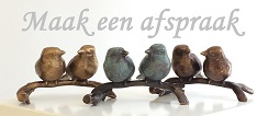 Maak een afspraak om de galerie te bezoeken