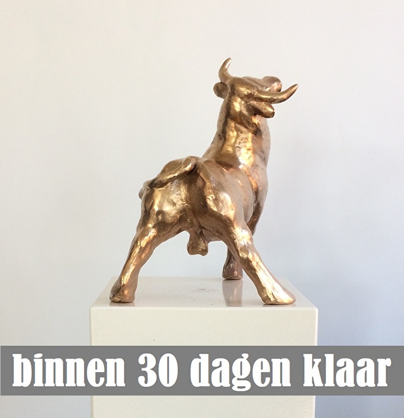 Bronzen beeld stier