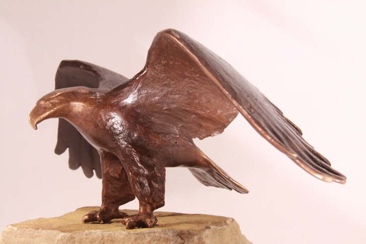 Zeearend - bronzen beeld adelaar