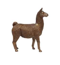 Alpaca goud