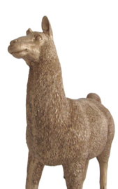 Alpaca goud